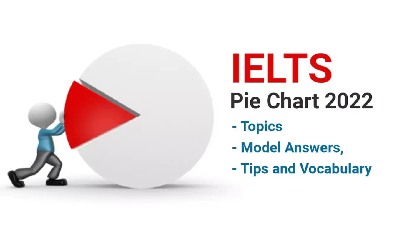 IELTS Pie Chart 2022 - Topics, Model Answers, Tips and Vocabulary